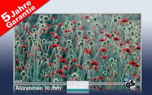Bild Dekor 033 Blumenwiese rote Blumen f�r Infrarot Bildheizung