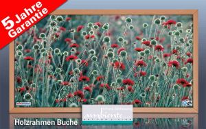 Bild Dekor 033 Blumenwiese rote Blumen f�r Infrarot Bildheizung