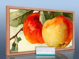 Infrarot Bildheizung 110 x 60 cm, Rahmen massiv Buche - Litho �pfel