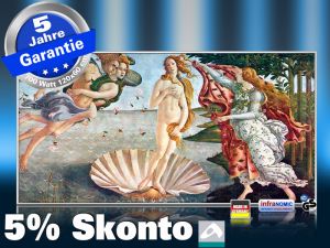 Infrarot Bildheizung Kunst 700 Watt 120x60 M10-SL Geburt der Venus