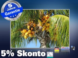 infrarot Bildheizung 500 Watt 90x60 M10-SL Palmenfr�chte