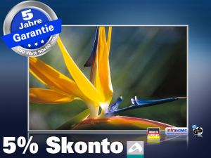 infrarot Bildheizung 500 Watt 90x60 M10-SL Strelitzie