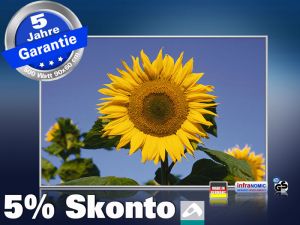 Infrarot Bildheizung 500 Watt 90x60 M10-SL Sonnenblume II