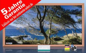 Infrarot Bildheizung 600 Watt 110x60 Holzrahmen HB30 Cala Sa Val