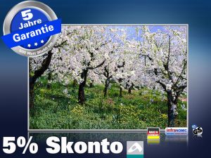 infrarot Bildheizung 500 Watt 90x60 M10-SL Apfelblüte