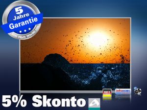 infrarot Bildheizung 500 Watt 90x60 M10-SL Brandung