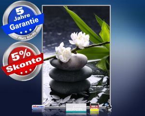 Infrarot Bildheizung 500 Watt 90x60 M10-SL Wellness