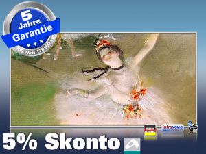 Infrarot Bildheizung Kunst 700 Watt 120x60 M10-SL Primaballerina