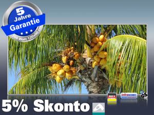 Infrarot Bildheizung 700 Watt 120x60 M10-SL Palmenfrüchte