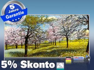 Infrarot Bildheizung Kunst 700 Watt 120x60 M10-SL Baumblüte