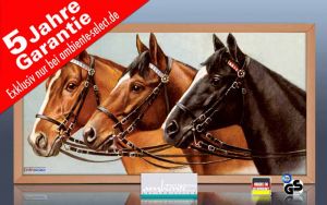 Infrarot Bildheizung 700 Watt 120x60 Holzrahmen HB30 Drei Pferde