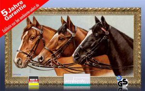 Infrarot Bildheizung Kunst 700 Watt 120x60 Stilrahmen StG Drei Pferde