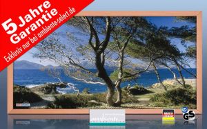 Infrarot Bildheizung 700 Watt 120x60 Holzrahmen HB30 Cala Sa Val