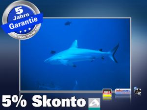 infrarot Bildheizung 500 Watt 90x60 M10-SL Hai
