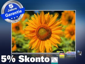 infrarot Bildheizung 500 Watt 90x60 M10-SL Sonnenblume