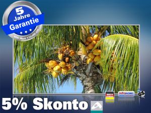 Infrarot Bildheizung 600 Watt 110x60 M10-SL Palmenfrüchte