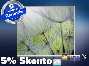 Infrarot Bildheizung 400 Watt 70x60 M10-SL Pusteblumen