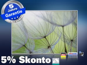 infrarot Bildheizung 500 Watt 90x60 M10-SL Pusteblumen
