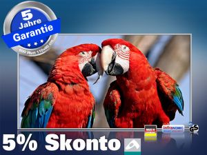 Infrarot Bildheizung 600 Watt 110x60 M10-SL Papageien