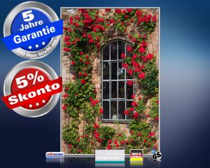 Infrarot Bildheizung 500 Watt 90x60 M10-SL Rosenfenster