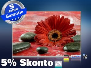 infrarot Bildheizung 500 Watt 90x60 M10-SL Rote Gerbera
