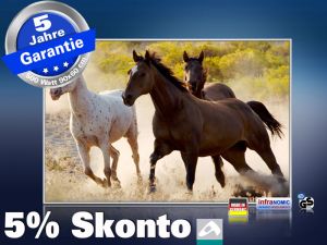 infrarot Bildheizung 500 Watt 90x60 M10-SL Wild-Pferde