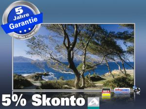 Infrarot Bildheizung 600 Watt 110x60 M10-SL Cala Sa Val