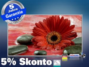 Infrarot Bildheizung 600 Watt 110x60 M10-SL Rote Gerbera