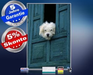 Infrarot Bildheizung 500 Watt 90x60 M10-SL Hund am Fenster