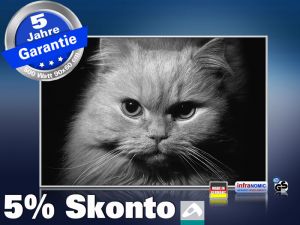 infrarotheizung mit Bild Bildheizung 500 Watt 90x60 M10-SL Katze