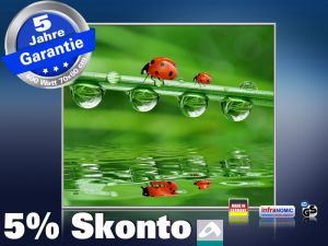 Infrarot Bildheizung 400 Watt 70x60 M10-SL Marienk�fer