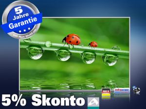 infrarotheizung mit Bild Bildheizung 500 Watt 90x60 M10-SL Marienkäfer