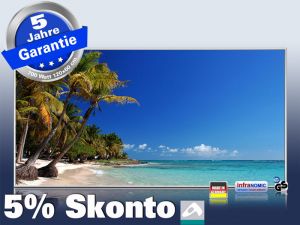Infrarot Bildheizung 700 Watt 120x60 M10-SL Antillen
