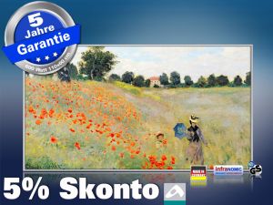 Infrarot Bildheizung Kunst 600 Watt 110x60 M10-SL Klatschmohn