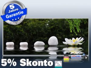 Infrarot Bildheizung 900 Watt 140x60 M10-SL Wellness