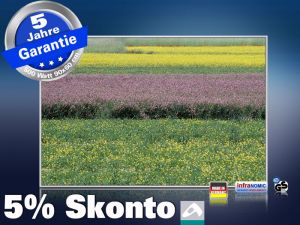 infrarot Bildheizung 500 Watt 90x60 M10-SL spring