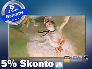 Infrarot Bildheizung Kunst 600 Watt 110x60 M10M Primaballerina