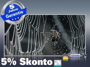 Infrarot Bildheizung 700 Watt 120x60 M10-SL Spinne