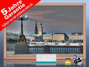 infrarot Bildheizung 500 Watt 90x60 Holzrahmen HB30 Hamburg