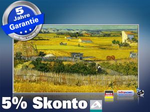 Infrarot Bildheizung Kunst 600 Watt 110x60 M10-SL Ebene La Grau