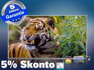 Infrarot Bildheizung 600 Watt 110x60 M10-SL Tiger