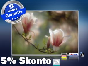 infrarot Bildheizung 500 Watt 90x60 M10-SL Magnolienblüten
