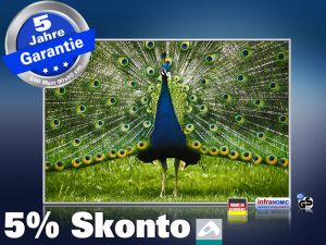 infrarot Bildheizung 500 Watt 90x60 M10-SL Pfau