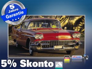 Infrarot Bildheizung 600 Watt 110x60 M10-SL Cadillac