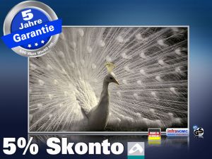 infrarot Bildheizung 500 Watt 90x60 M10-SL Pfau II