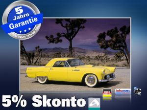 Infrarot Bildheizung 500 Watt 90x60 M10-SL Ford Thunderbird