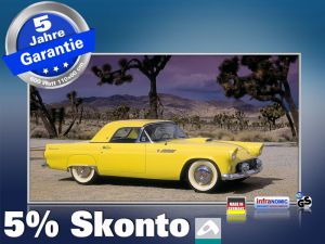 Infrarot Bildheizung 600 Watt 110x60 M10-SL Ford Thunderbird