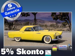 Infrarot Bildheizung 700 Watt 120x60 M10-SL Ford Thunderbird