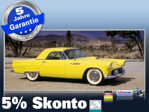 Infrarot Bildheizung 900 Watt 140x60 M10-SL Ford Thunderbird