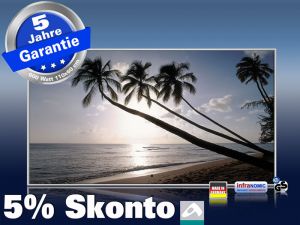 Infrarot Bildheizung 600 Watt 110x60 M10-SL Barbados